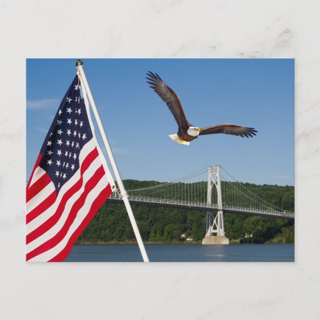 Bald Eagle (American Pride) Postcard (Front)
