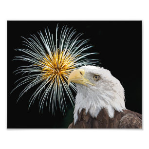 Bald Eagle and Fireworks Photo Print