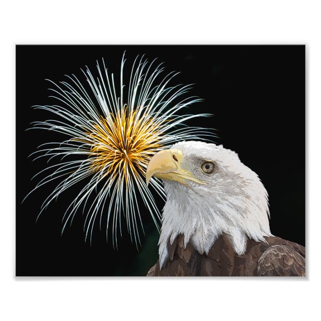 Bald Eagle and Fireworks Photo Print (Front)