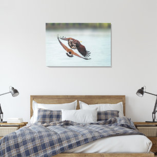 Bald Eagle and Goose Nature Wildlife Fine Art Canvas Print