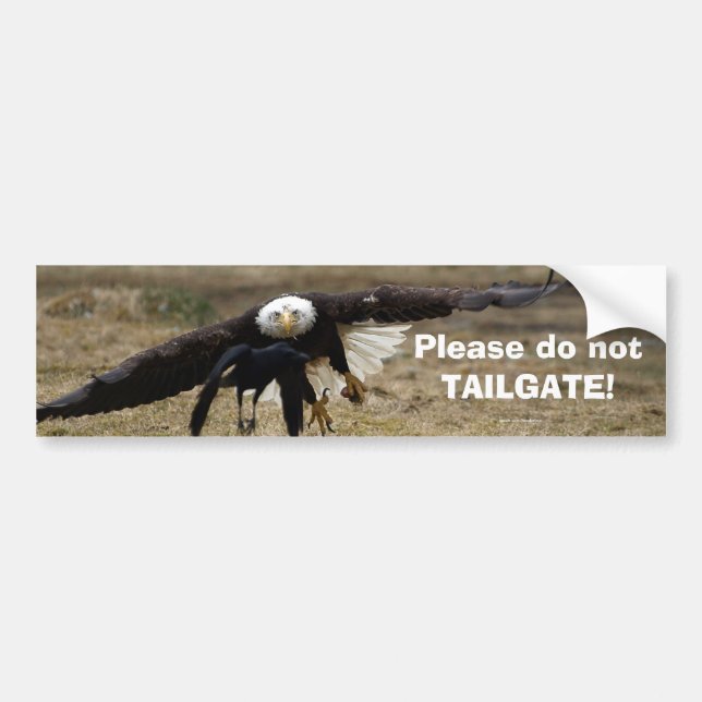 Bald Eagle and Raven Chase Funny Bumpersticker Bumper Sticker (Front)