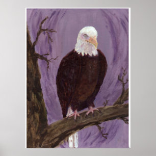 Bald Eagle Art Print