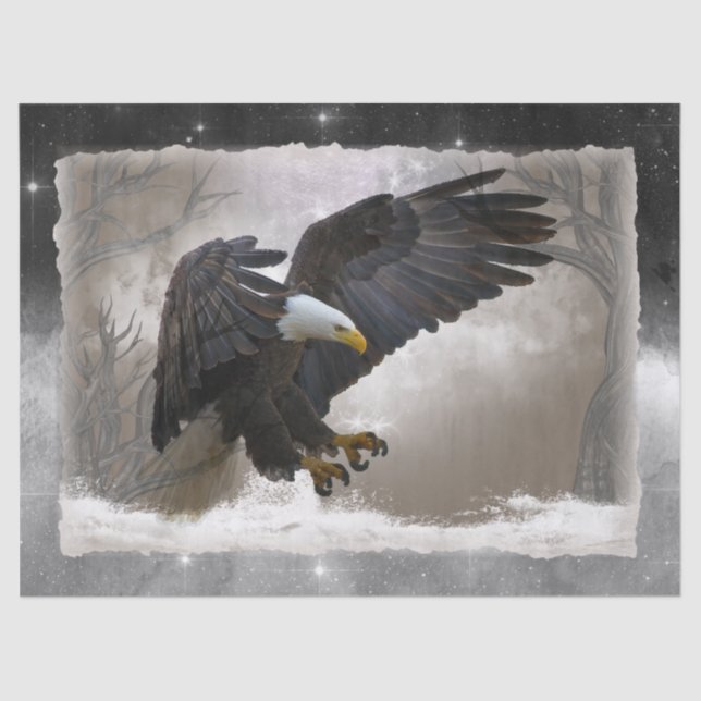 Bald Eagle Artwork Decoupage Tissue Paper (Front)
