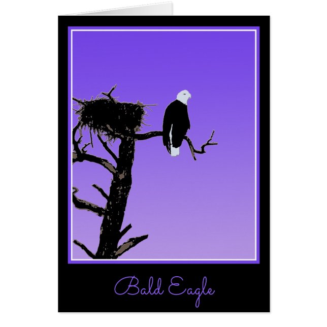 Bald Eagle at Sunset  - Original Wildlife Art (Front)
