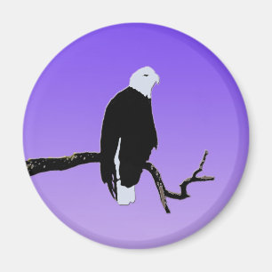 Bald Eagle at Sunset  - Original Wildlife Art Magnet