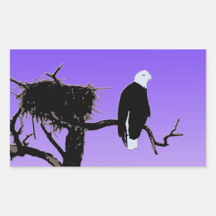 Bald Eagle at Sunset  - Original Wildlife Art Sticker