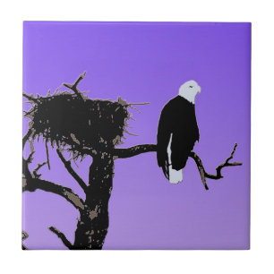 Bald Eagle at Sunset - Original Wildlife Art Tile
