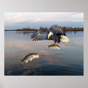 Bald Eagle Bass Fishing Poster