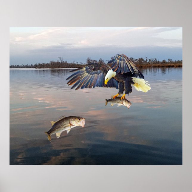 Bald Eagle Bass Fishing Poster (Front)