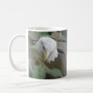 Bald Eagle Bird Coffe Tasse de thé Mug