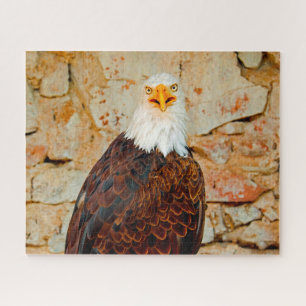 Bald Eagle Bird of Prey. Jigsaw Puzzle