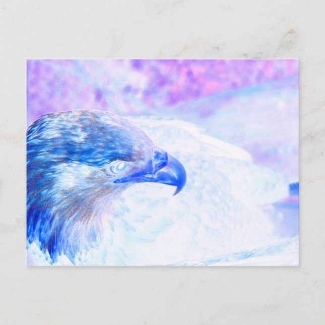 bald eagle blue purple facing right postcard (Front)