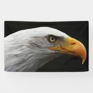 Bald Eagle bnrcna Banner