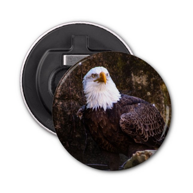 Bald Eagle Bottle Opener (Front)