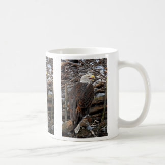 Bald Eagle by Snowy Nest Mug