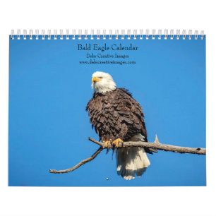 Bald Eagle Calendar 2025