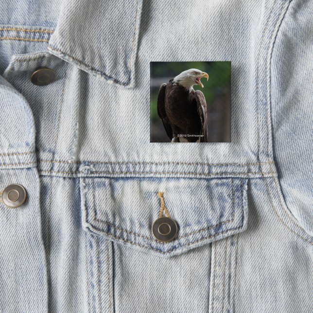 Bald Eagle Calling 2 Inch Square Button (In Situ)