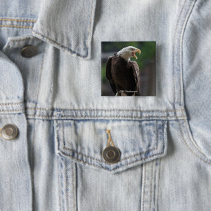 Bald Eagle Calling 2 Inch Square Button
