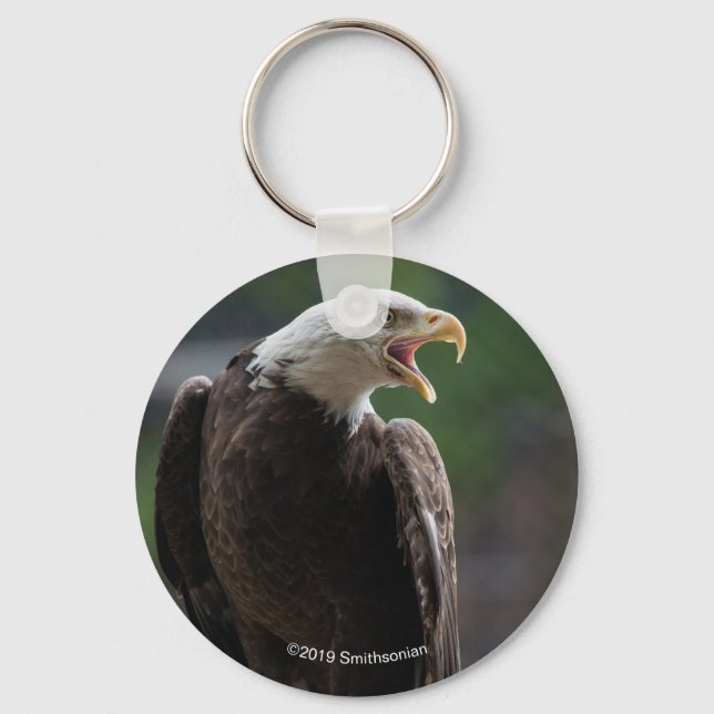 Bald Eagle Calling Keychain (Front)