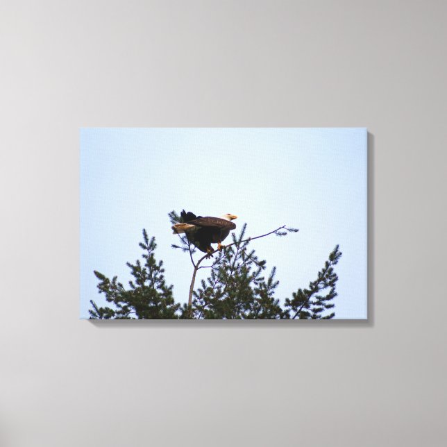 Bald Eagle Canvas Print (Front)