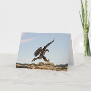 Bald Eagle Card