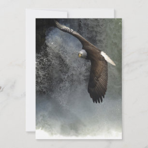 Bald Eagle & Cascades Cartes d'invitation