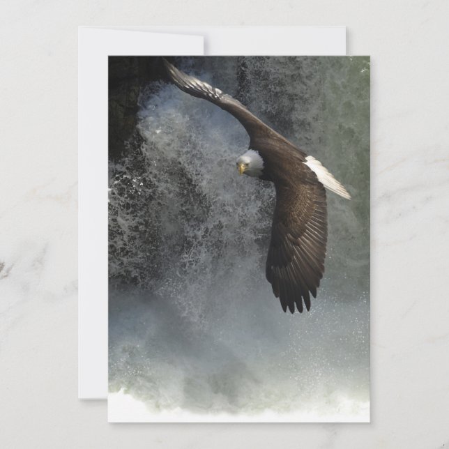 Bald Eagle & Cascades Cartes d'invitation (Devant)