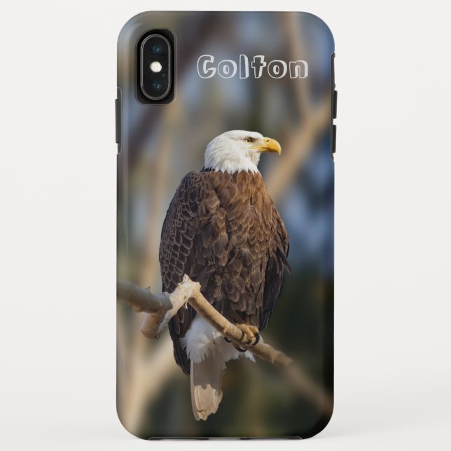 Bald Eagle Case-Mate iPhone Case (Back)