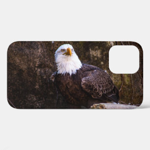 Bald Eagle iPhone 12 Case