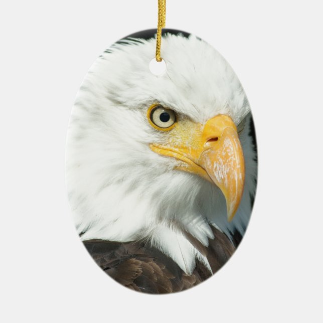 Bald Eagle Ceramic Ornament (Front)