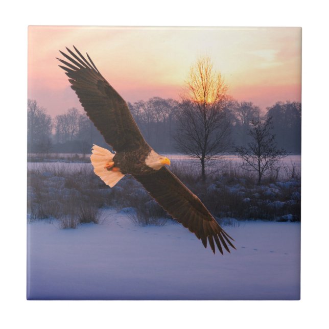 BALD EAGLE CERAMIC TILE (Front)