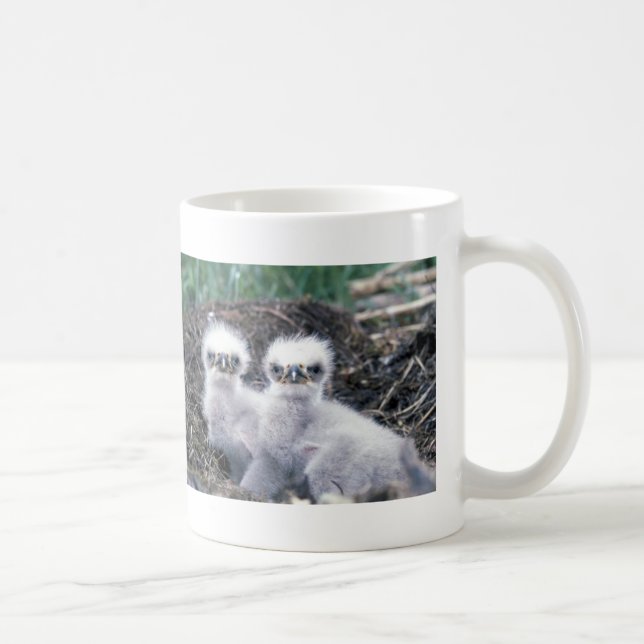Bald Eagle Chicks Coffee Mug (Right)