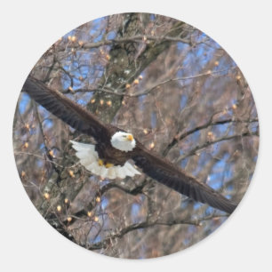 Bald Eagle Classic Round Sticker