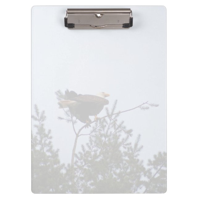 Bald Eagle Clipboard (Front)