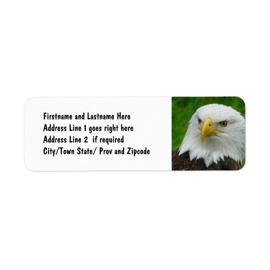 Bald Eagle - Close up Wild Eagle Photo Return Address Label
