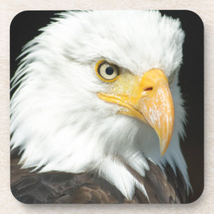 Bald Eagle Coaster