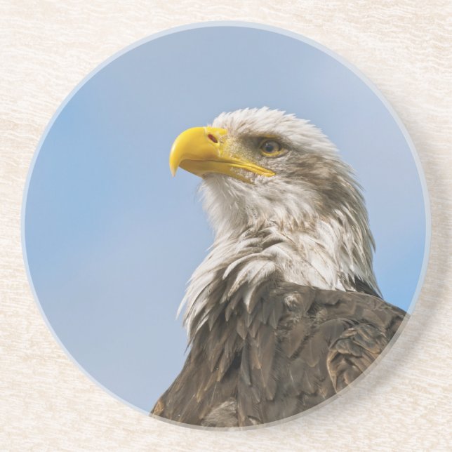 Bald Eagle Coaster (Front)