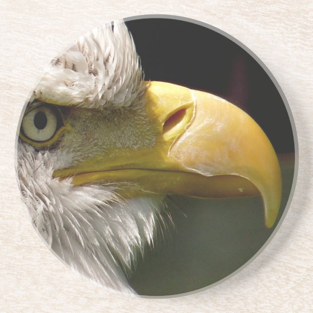 BALD EAGLE COASTER (Front)