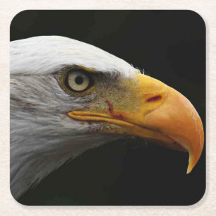 Bald Eagle coastercn Square Paper Coaster
