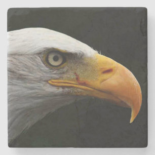 Bald Eagle coastercn Stone Coaster