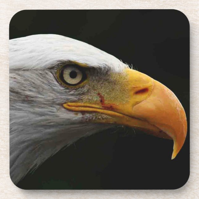 Bald Eagle coastercnm Coaster (Front)