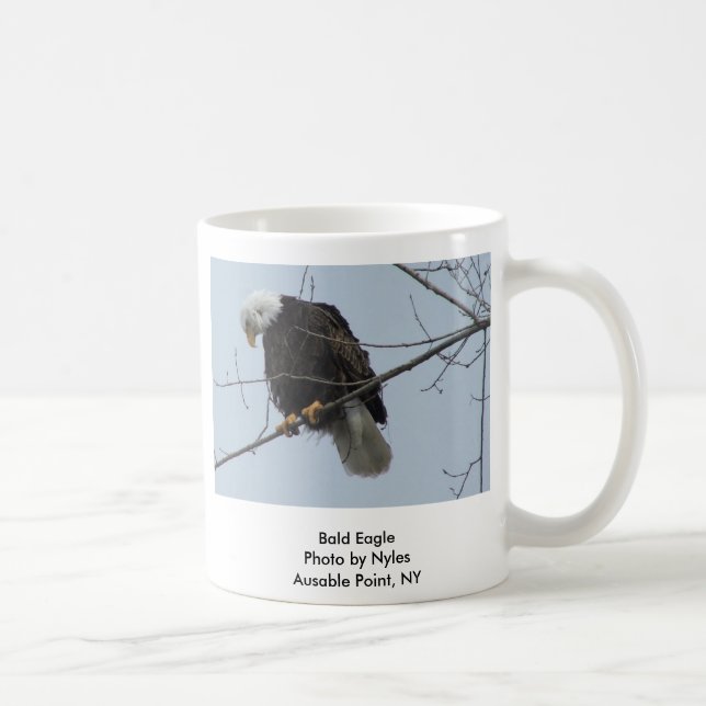 Bald Eagle. Coffee Mug (Right)