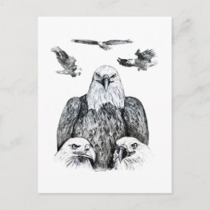Bald Eagle Collage Pencil drawing sketch Postcard