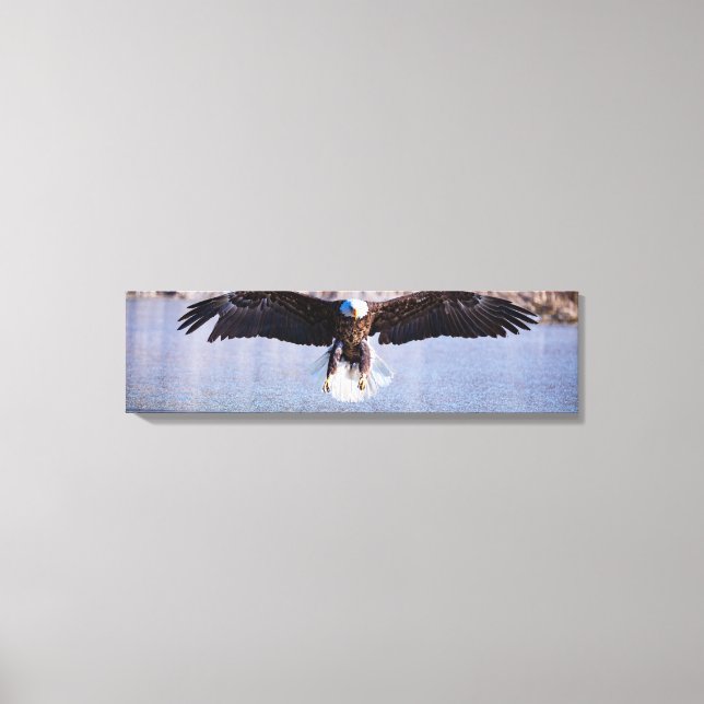 Bald Eagle Daytime Hunting Over Lake Canvas Print (Front)
