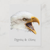 Bald Eagle Dignity & Glory customizable