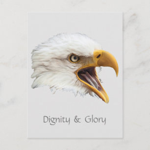 Bald Eagle Dignity & Glory customizable Postcard