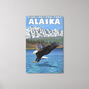Bald Eagle Diving - Denali National Park, Alaska Canvas Print