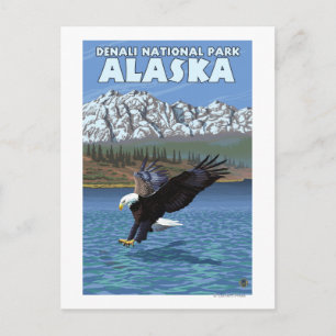 Bald Eagle Diving - Denali National Park, Alaska Postcard