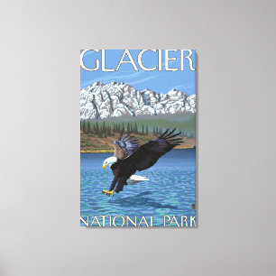 Bald Eagle Diving - Glacier National Park, MT Canvas Print