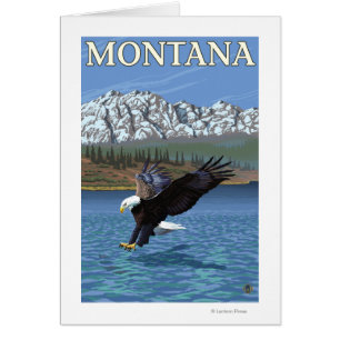 Bald Eagle Diving - Montana
